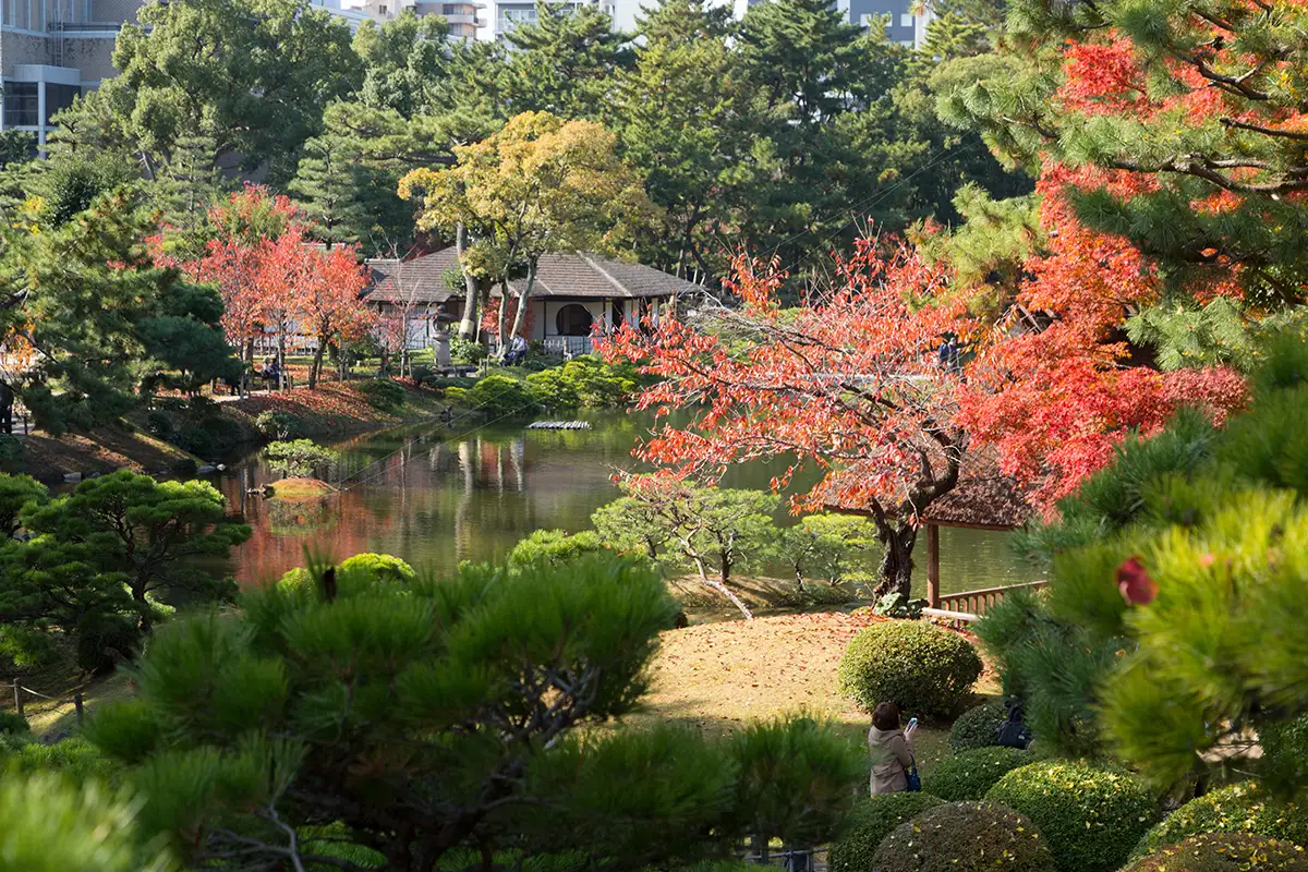 秋の情緒あふれる紅葉の庭園「縮景園もみじまつり」　幻想的なライトアップも