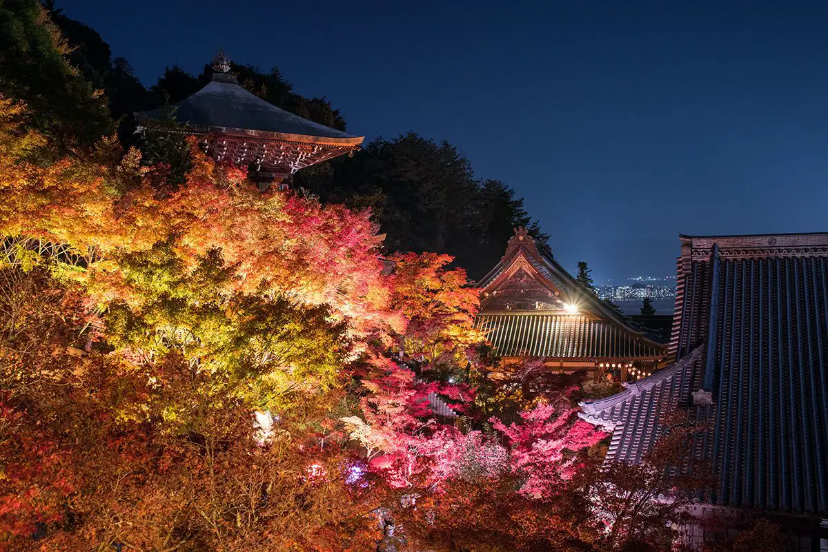光に浮かぶ紅葉と寺院美、宮島・大聖院の夜に特別体験「紅もみじライトアップ」開催中