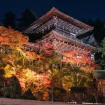 人気屋台が勢ぞろい！西条で駅近の地元密着グルメイベント「わいわいカーニバル」