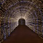 広島最大級！遊園地で約250万球のイルミネーション　今年はSaucy Dogコラボ