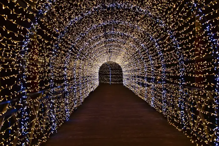 広島最大級！遊園地で約250万球のイルミネーション　今年はSaucy Dogコラボ