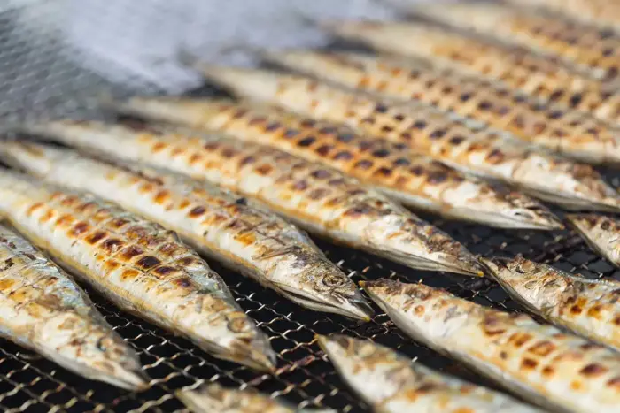 焼きたて1,000尾！広島港で今年も「さんま祭り」  グルメもステージも満喫の秋イベント