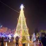 11月22日(土)〜24日(月・祝)の3連休に広島県内で開催されるおすすめイベント！紅葉はピークに