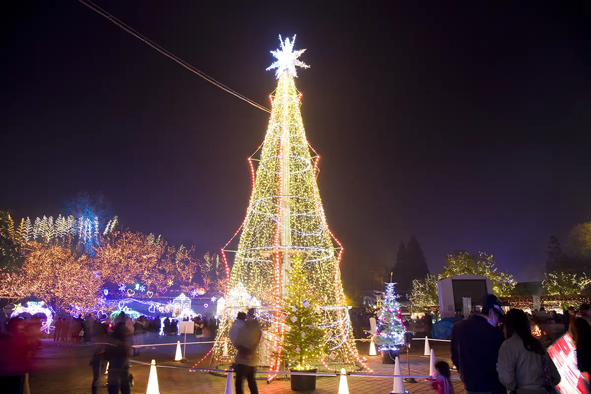 11月22日(土)〜24日(月・祝)の3連休に広島県内で開催されるおすすめイベント！紅葉はピークに