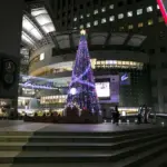 観光地・宮島が紅葉シーズン本番へ　紅葉谷公園が鮮やかに染まる秋景色