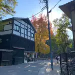 イルミネーションの庭で心安らぐクリスマスマーケット「広島アンデルセン・ヒュッゲパーク」