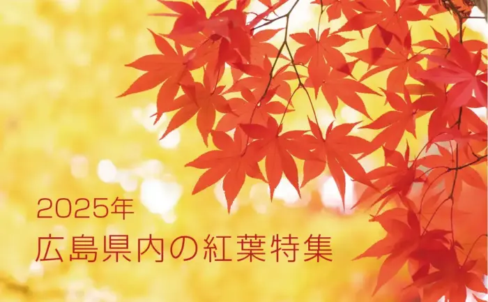 [2025年]広島県内の紅葉スポット20選　名所や見ごろ時期など一挙紹介