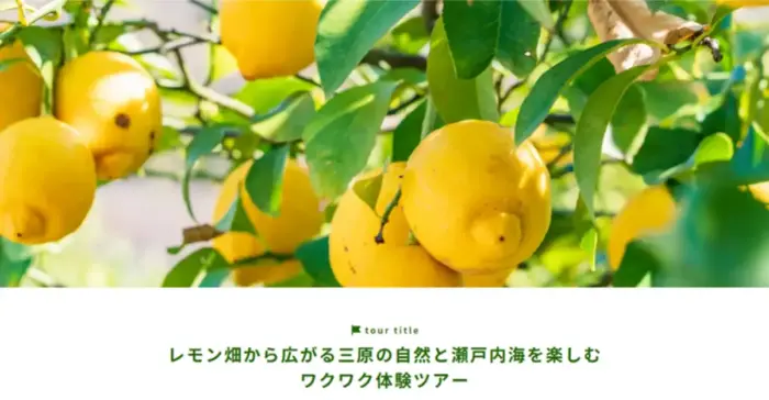 三原で楽しむ収穫体験！瀬戸内の風とレモンの香りに包まれるスイーツ&ランチ付きツアー