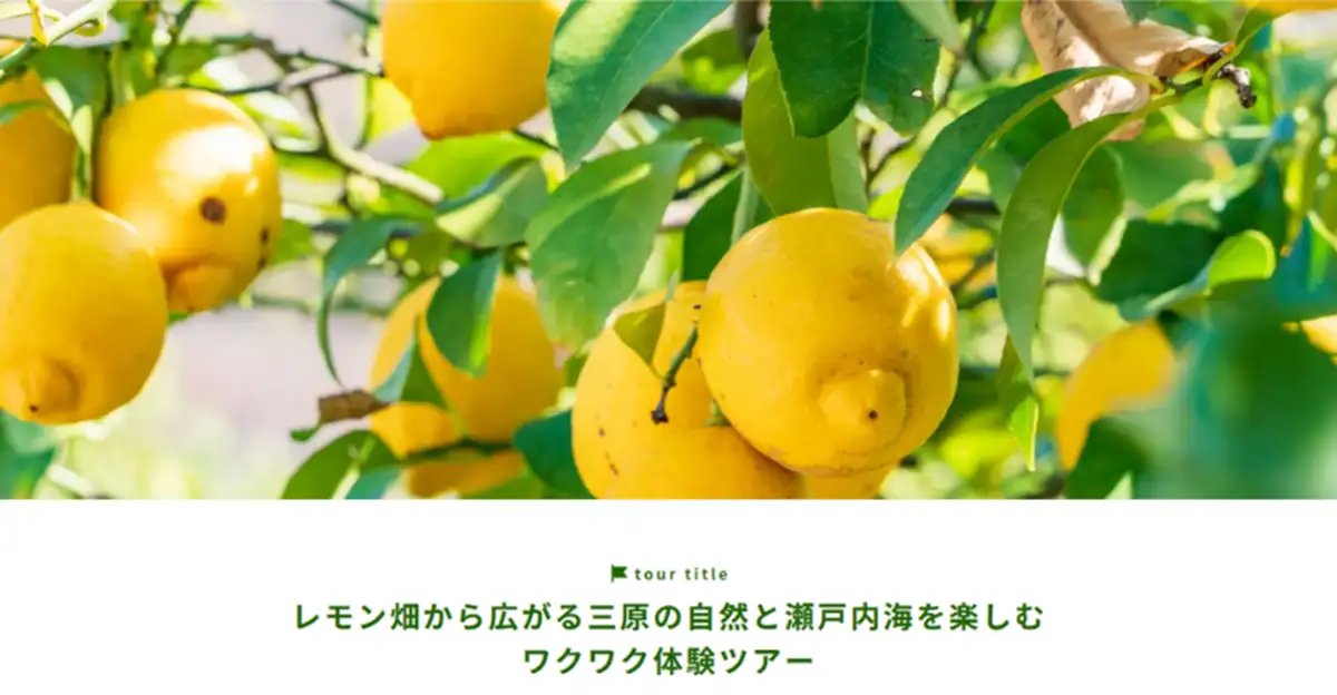 三原で楽しむ収穫体験！瀬戸内の風とレモンの香りに包まれるスイーツ&ランチ付きツアー