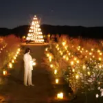 見て、作って、味わえる！子どもも大人も楽しめる「世羅高原キャンドルナイト」