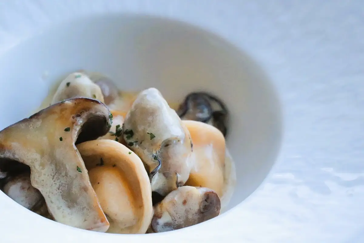 美食・秘湯・絶景の冬旅へ　瀬戸内海に浮かぶ島の「江田島荘」でととのう島時間