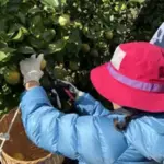 世界26か国から過去最多1,000人超のトッププレーヤー集結！「けん玉ワールドカップ廿日市2025」