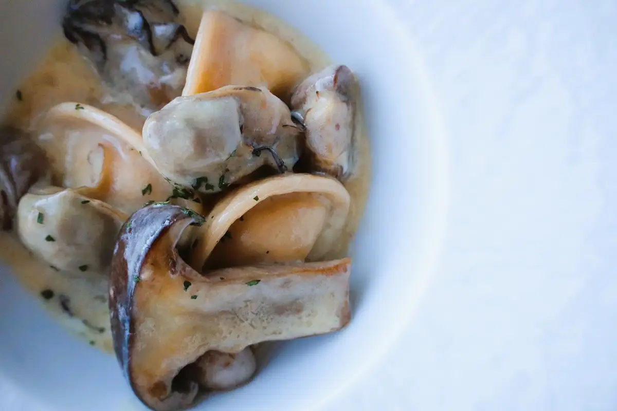 美食・秘湯・絶景の冬旅へ　瀬戸内海に浮かぶ島の「江田島荘」でととのう島時間