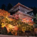 光に浮かぶ紅葉と寺院美、宮島・大聖院の夜に特別体験「紅もみじライトアップ」開催中