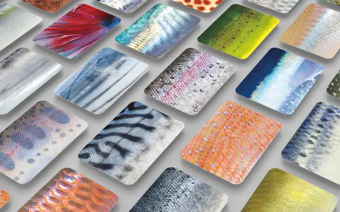 遊びながら魚博士に！リアルな色彩と質感のさかなかるた体験「広島もとまち水族館」