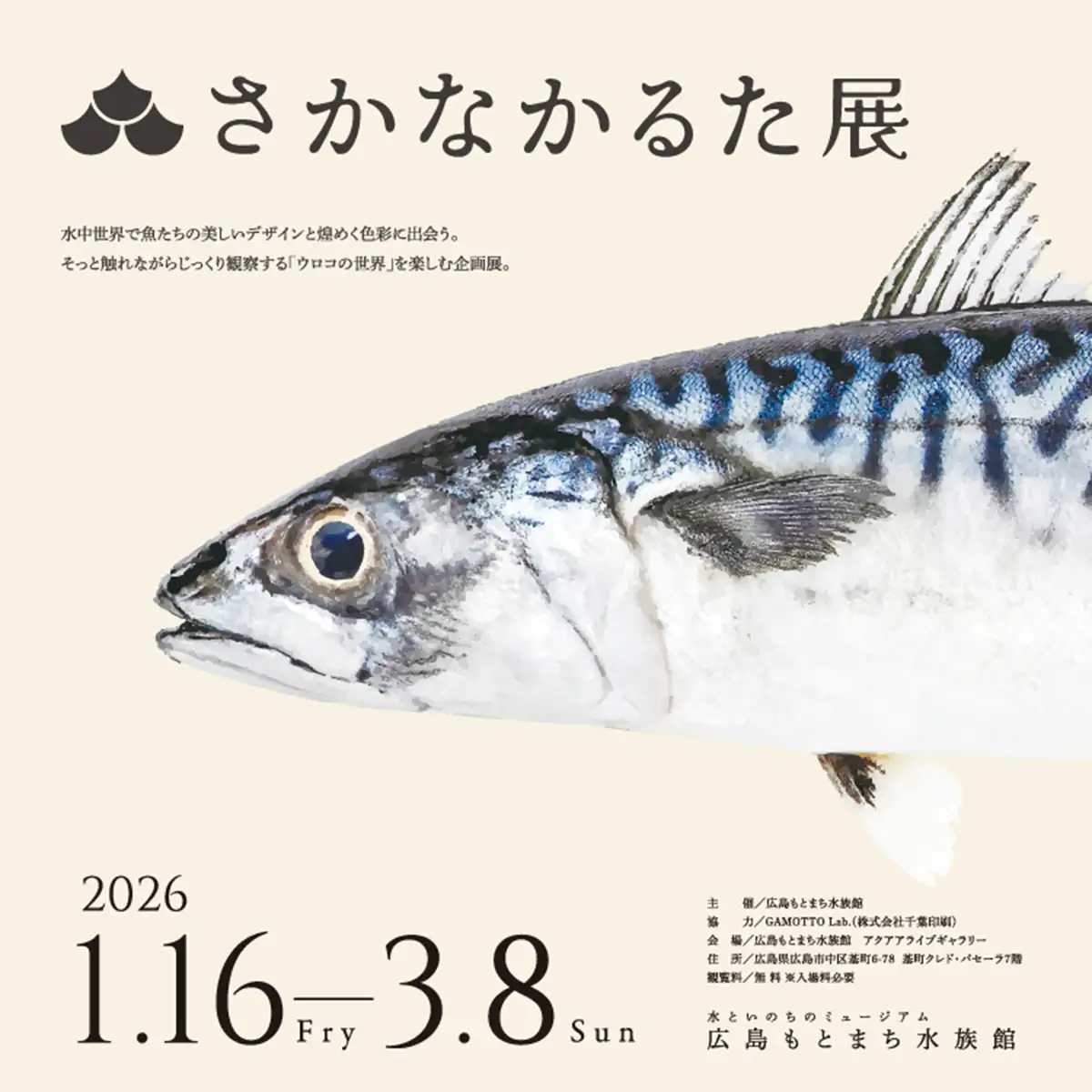 遊びながら魚博士に！リアルな色彩と質感のさかなかるた体験「広島もとまち水族館」