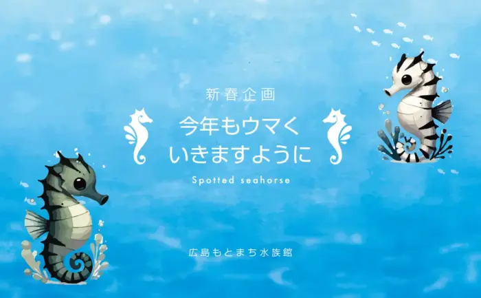 干支はウマでも展示はタツノオトシゴ？広島もとまち水族館で新春特別企画