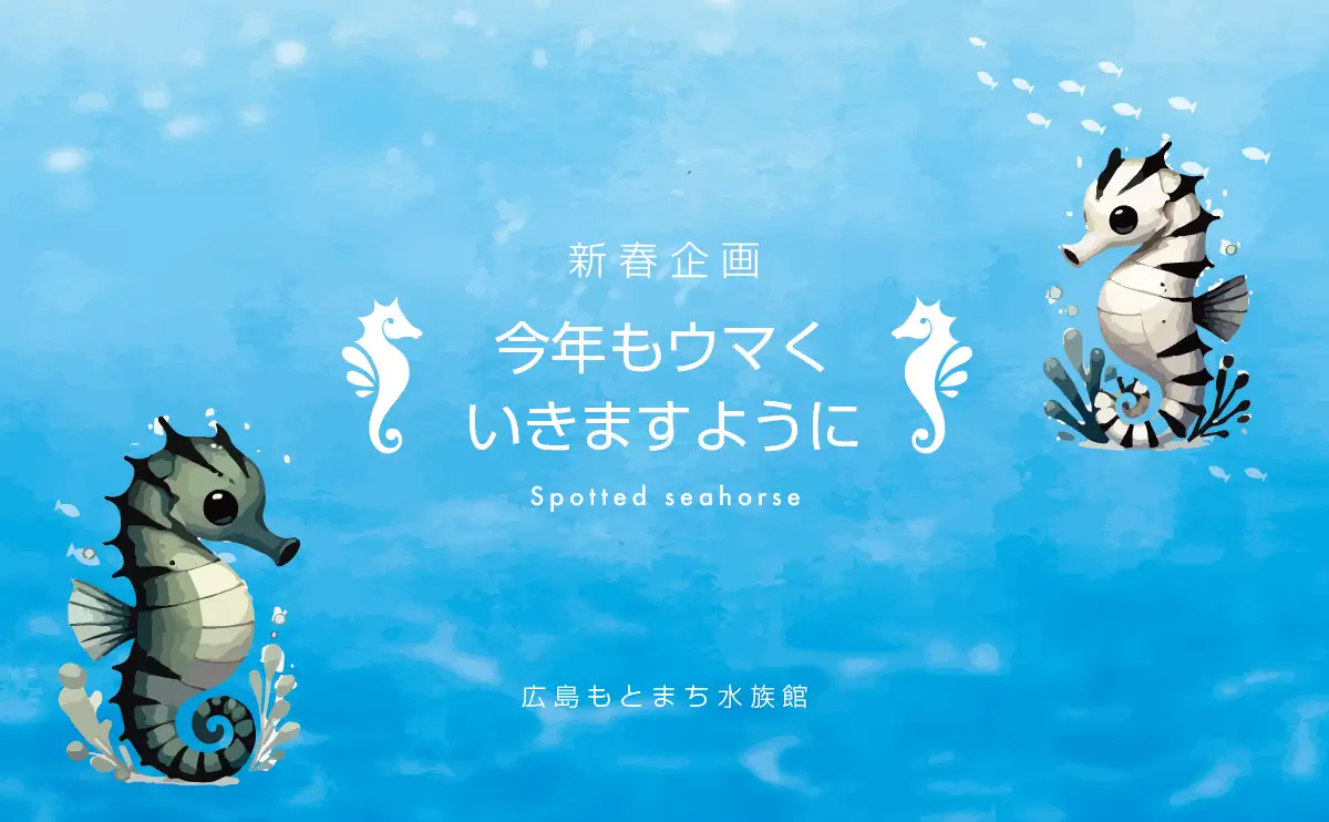 干支はウマでも展示はタツノオトシゴ？広島もとまち水族館で新春特別企画