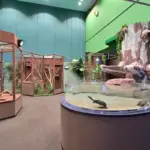 約2倍の広さで生まれ変わった！「シン・マリホ水族館」の魅力とは？