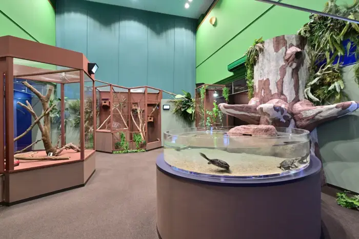 約2倍の広さで生まれ変わった！「シン・マリホ水族館」の魅力とは？