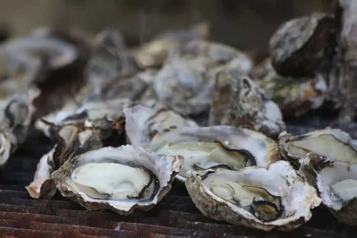 今年はラーメン横丁と全国キッチンカーエリア初登場！牡蠣グルメ天国のオイスターフェス