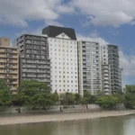 桜とともに楽しむ春ランチ!ローストビーフに海鮮ちらしなど30種類以上の限定ビュッフェ