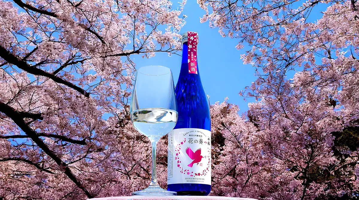 千福が贈る春限定酒　ワイングラスで楽しむ純米大吟醸しぼりたて新酒「花の奏」