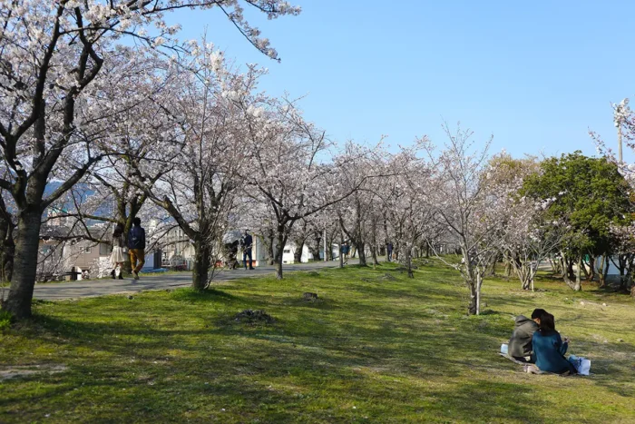 【4月5日】廿日市で桜まつり開催！ヒーローショーやグルメも充実