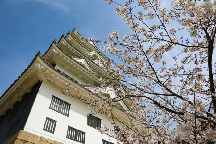 春の夜を幻想的に！福山城桜まつりが3月28日からスタート