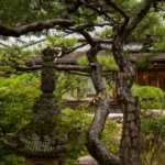 福山城二の丸に新たな賑わい　カフェ・パーティ・ウェディングが本格始動