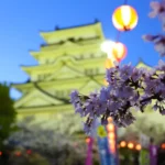 春の夜を幻想的に!福山城桜まつりが3月28日からスタート