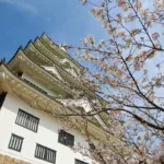 【期間限定】広島で注目「水族館グルメ」誕生　黄金フカヒレ＆珊瑚カクテル