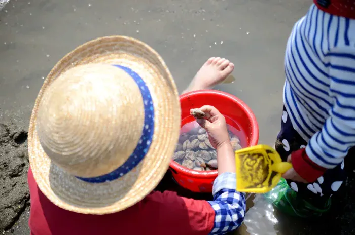 6年ぶり復活！尾道・向島で春の潮干狩り体験【2026年4月～5月】