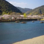 【今だけ】満開の錦帯橋を水上から…春限定「さくら舟」運航中