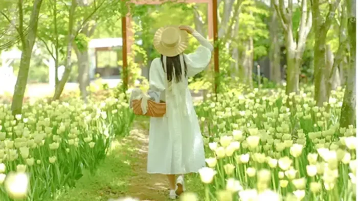 今年で最後の絶景も、75万本が彩る世羅チューリップ祭が4月10日開幕